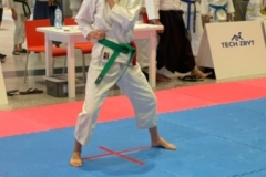 ABiRO-YCUP-11