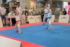 ABiRO-YCUP-12