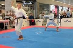 ABiRO-YCUP-22