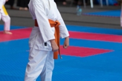 ABiRO-MCUP-2024-44