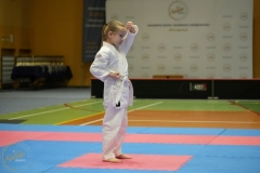 ABiRO-Noworoczny-2024-011