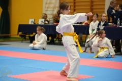 ABiRO-Noworoczny-2024-062