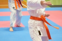 ABiRO-Noworoczny-2024-072