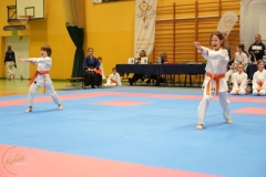 ABiRO-Noworoczny-2024-077
