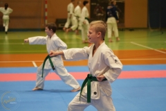 ABiRO-Noworoczny-2024-121