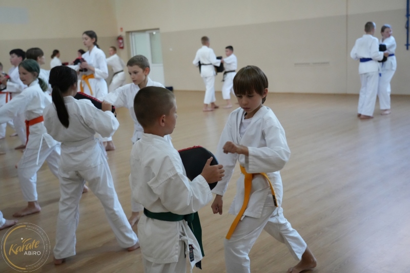 ABiRO-SKC-2024-288