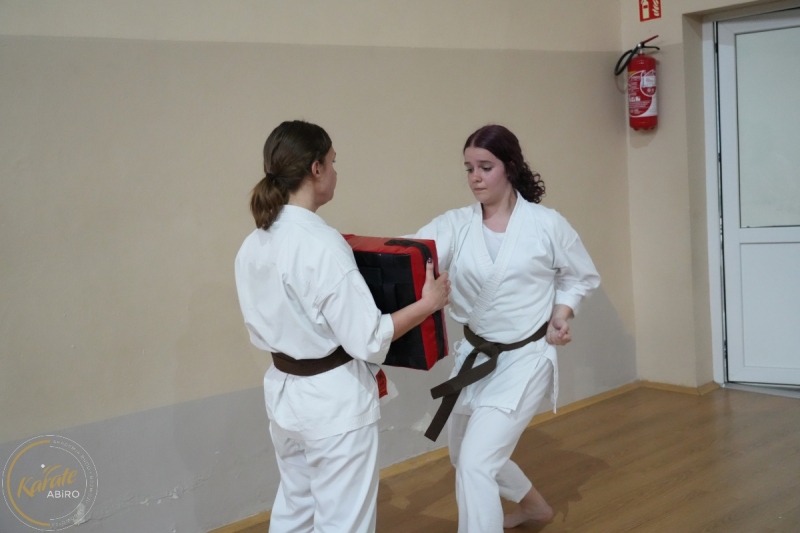 ABiRO-SKC-2024-297