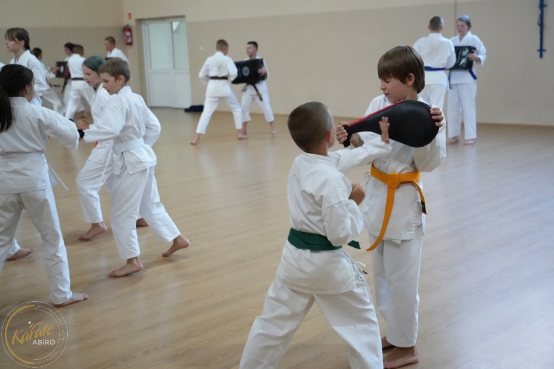 ABiRO-SKC-2024-309