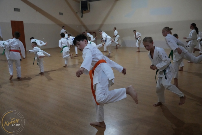 ABiRO-SKC-2024-392