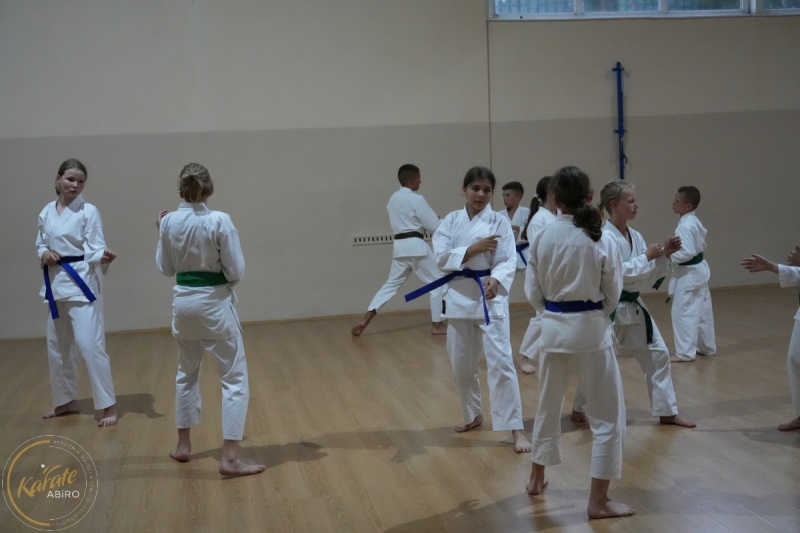 ABiRO-SKC-2024-395