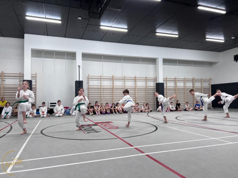 ABiRO-WinterCAMP-2024-06-053