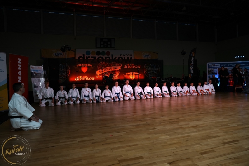 ABiRO-WOSP-2024-004