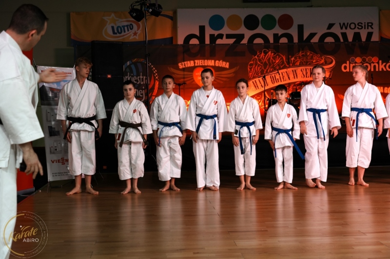 ABiRO-WOSP-2024-005
