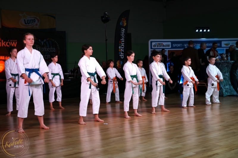 ABiRO-WOSP-2024-006