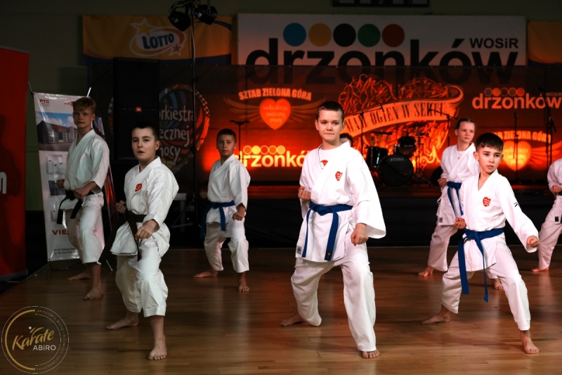 ABiRO-WOSP-2024-007
