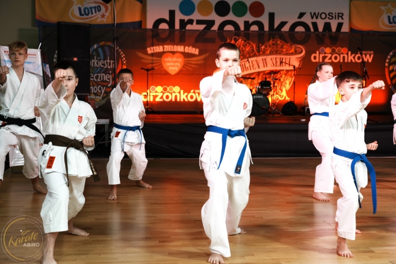 ABiRO-WOSP-2024-008