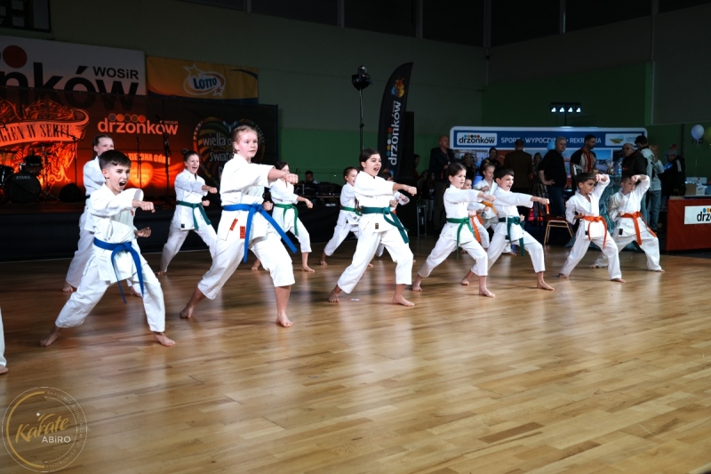 ABiRO-WOSP-2024-009