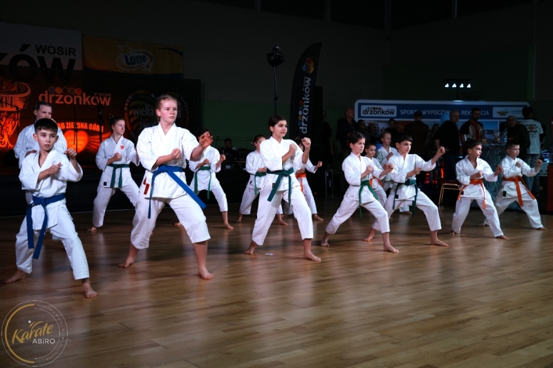 ABiRO-WOSP-2024-010