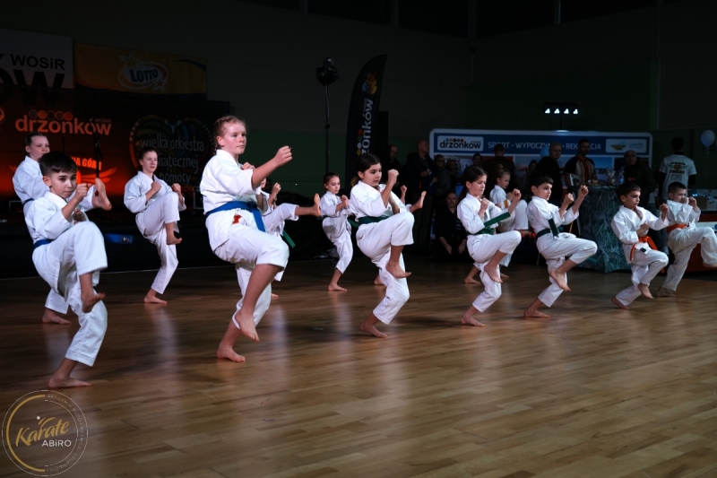 ABiRO-WOSP-2024-011