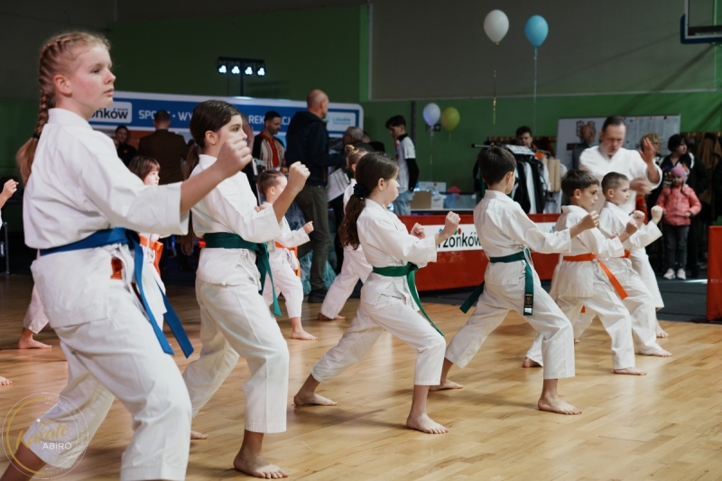 ABiRO-WOSP-2024-013