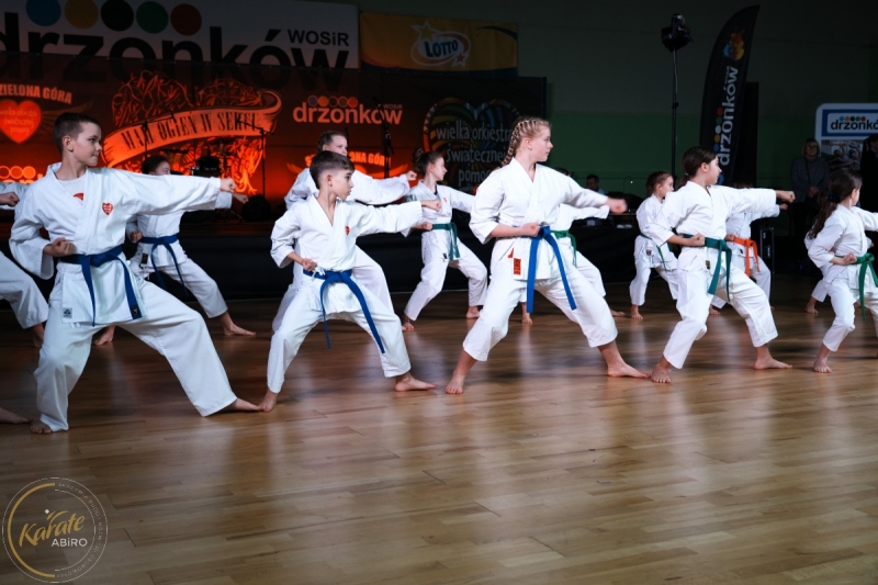 ABiRO-WOSP-2024-015