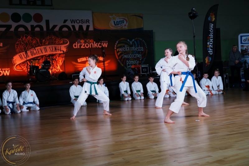 ABiRO-WOSP-2024-018