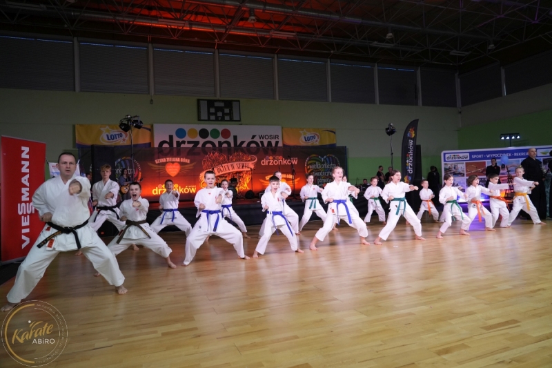 ABiRO-WOSP-2024-030