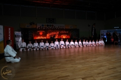 ABiRO-WOSP-2024-004