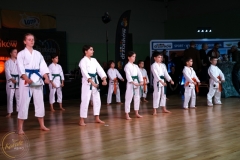 ABiRO-WOSP-2024-006
