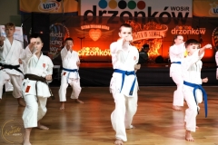 ABiRO-WOSP-2024-008
