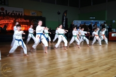 ABiRO-WOSP-2024-009