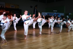 ABiRO-WOSP-2024-012
