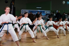 ABiRO-WOSP-2024-014