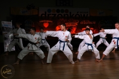 ABiRO-WOSP-2024-016