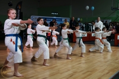 ABiRO-WOSP-2024-017