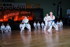 ABiRO-WOSP-2024-018