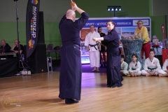 ABiRO-WOSP-2024-023