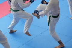 ABiRO-Randori-5_2025-122