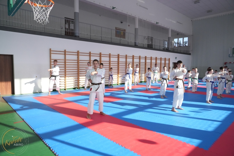 ABiRO-Seminar_JanStekly-2025-01
