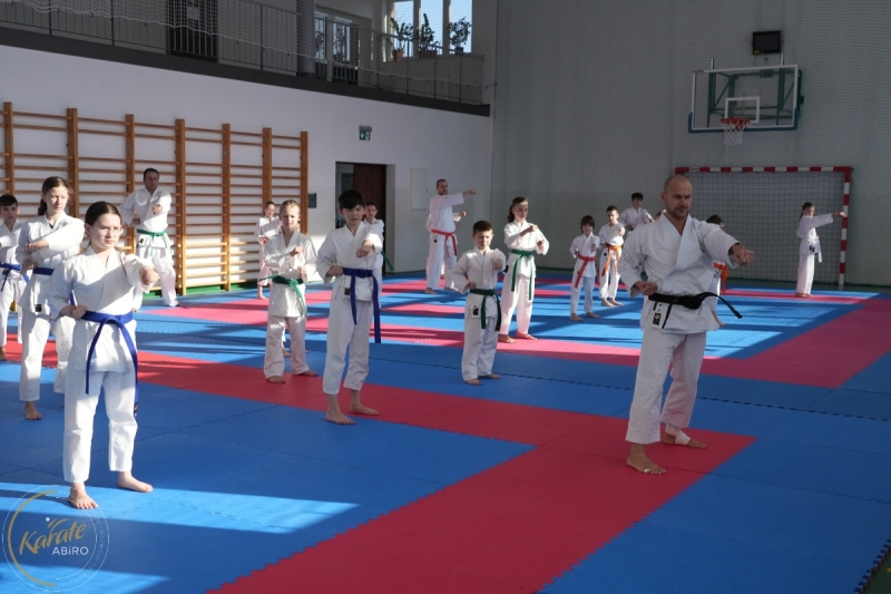 ABiRO-Seminar_JanStekly-2025-06