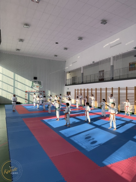 ABiRO-Seminar_JanStekly-2025-07