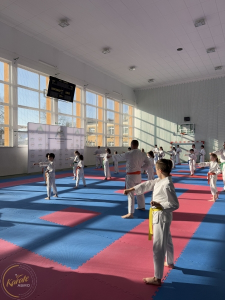 ABiRO-Seminar_JanStekly-2025-08