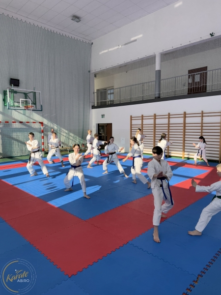 ABiRO-Seminar_JanStekly-2025-11