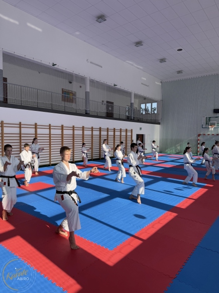 ABiRO-Seminar_JanStekly-2025-15