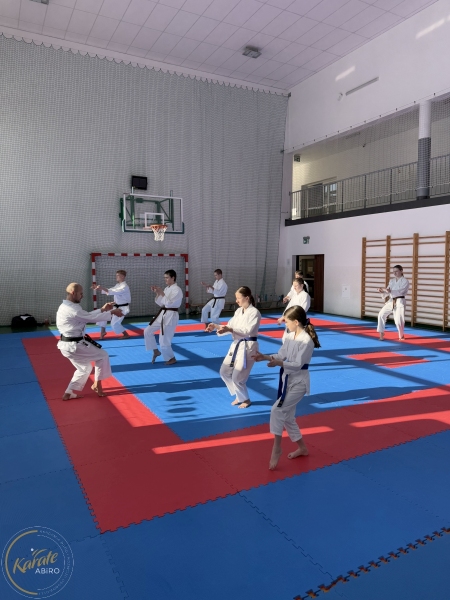 ABiRO-Seminar_JanStekly-2025-27