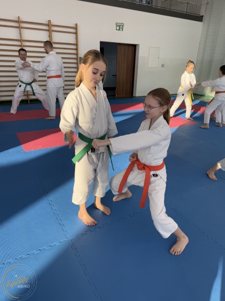 ABiRO-Seminar_JanStekly-2025-37