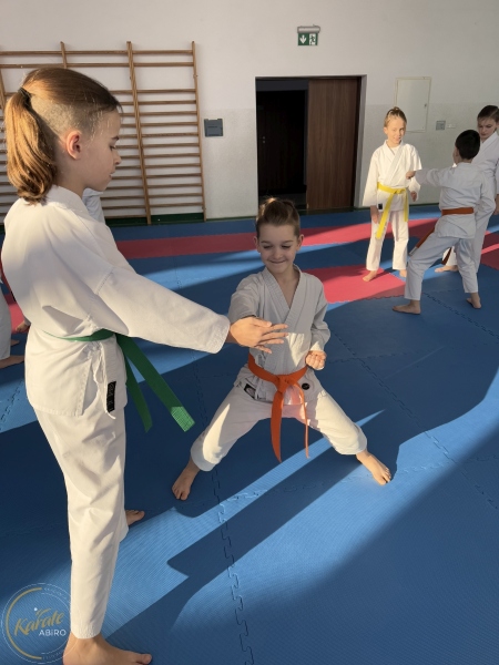 ABiRO-Seminar_JanStekly-2025-38