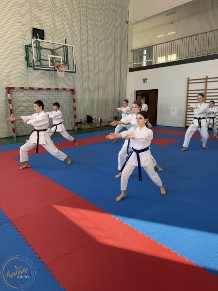 ABiRO-Seminar_JanStekly-2025-41