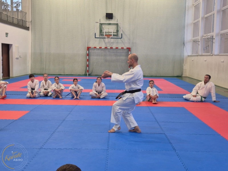 ABiRO-Seminar_JanStekly-2025-45