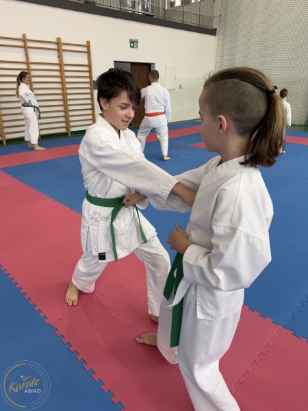ABiRO-Seminar_JanStekly-2025-57